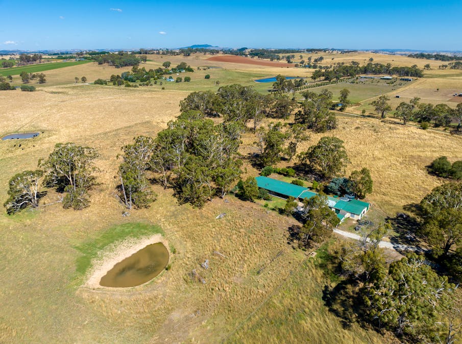 55 Carbine Road, Forest Reefs, NSW, 2798 - Image 26