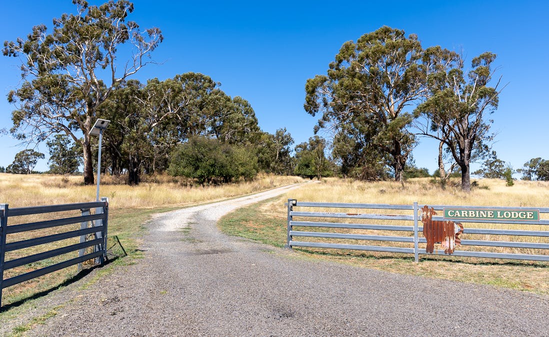 55 Carbine Road, Forest Reefs, NSW, 2798 - Image 34