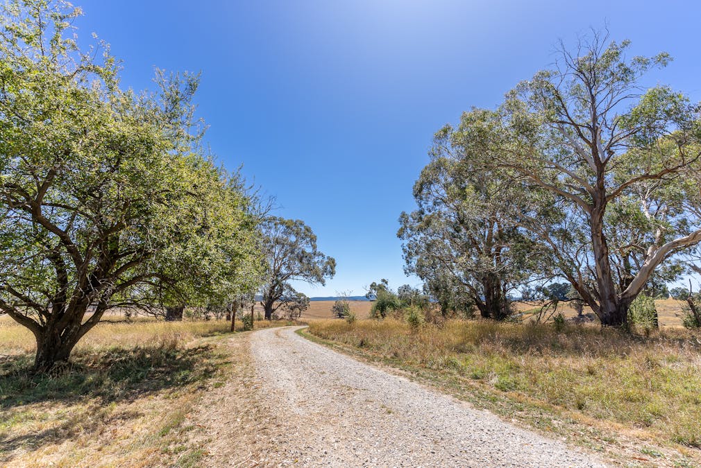 55 Carbine Road, Forest Reefs, NSW, 2798 - Image 33