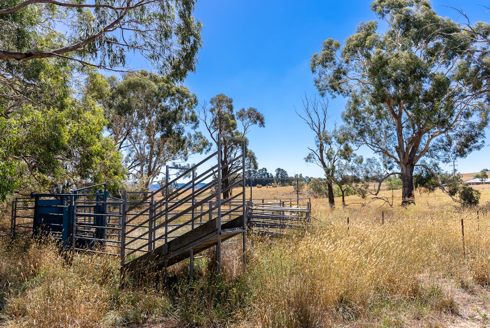 55 Carbine Road, Forest Reefs, NSW, 2798 - Image 27