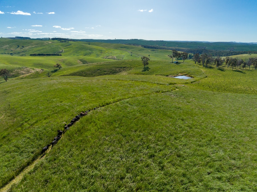 1269 Beaconsfield Road, Oberon, NSW, 2787 - Image 29