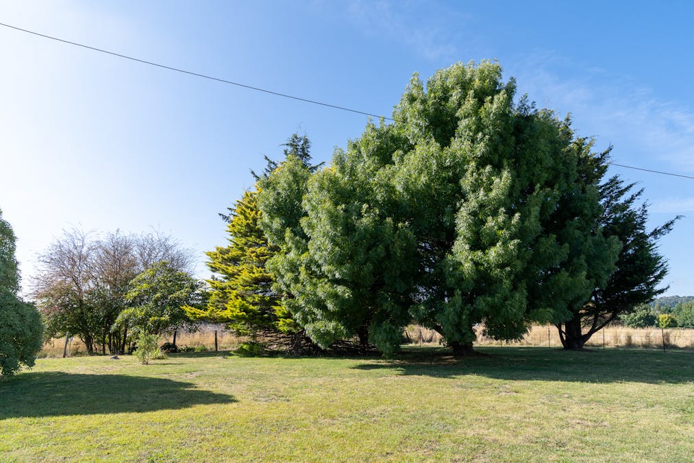 146 Canobolas Road, Orange, NSW, 2800 - Image 7