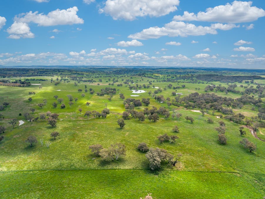1366 Amaroo Road, Orange, NSW, 2800 - Image 8