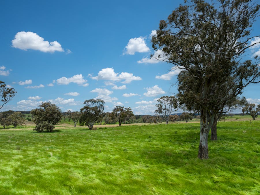 1366 Amaroo Road, Orange, NSW, 2800 - Image 1