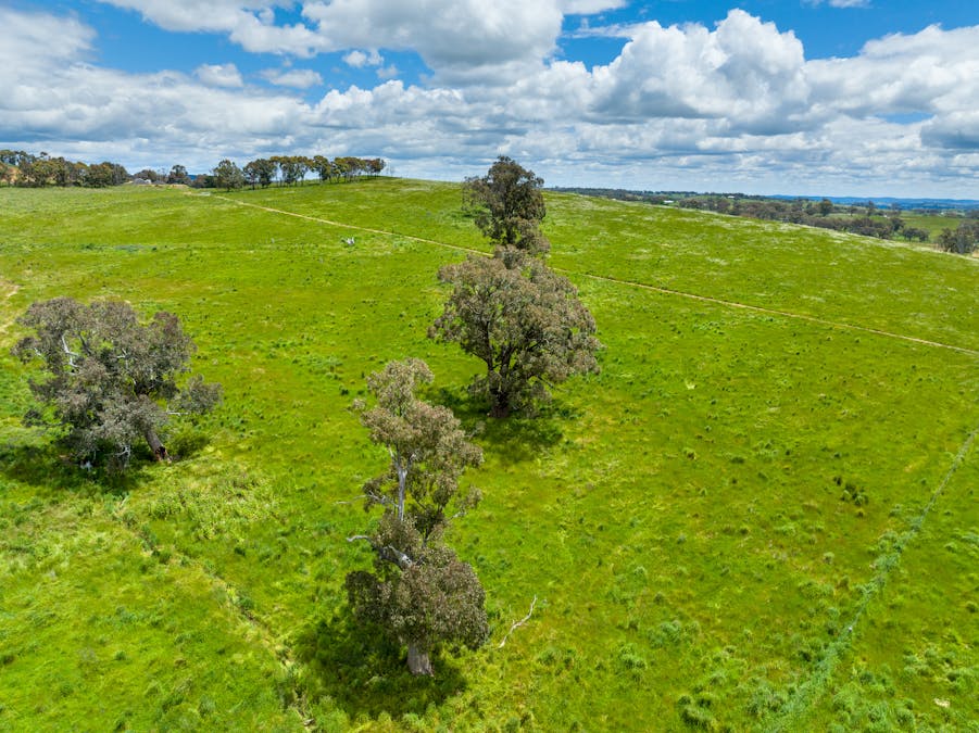 1366 Amaroo Road, Orange, NSW, 2800 - Image 2