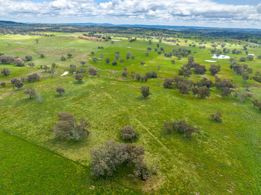 1366 Amaroo Road, Orange, NSW, 2800 - Image 9