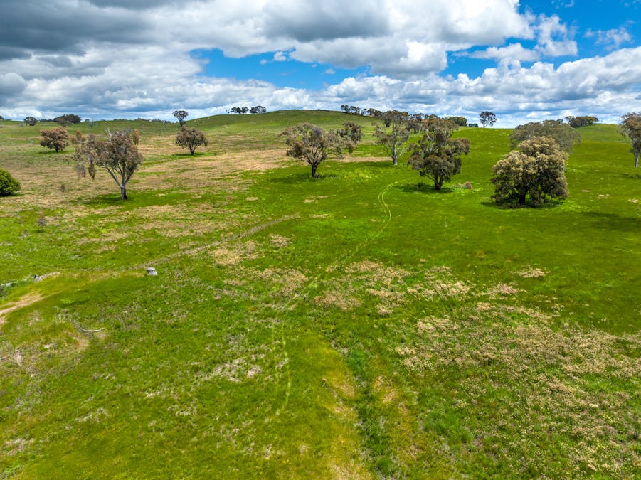 1366 Amaroo Road, Orange, NSW, 2800 - Image 10
