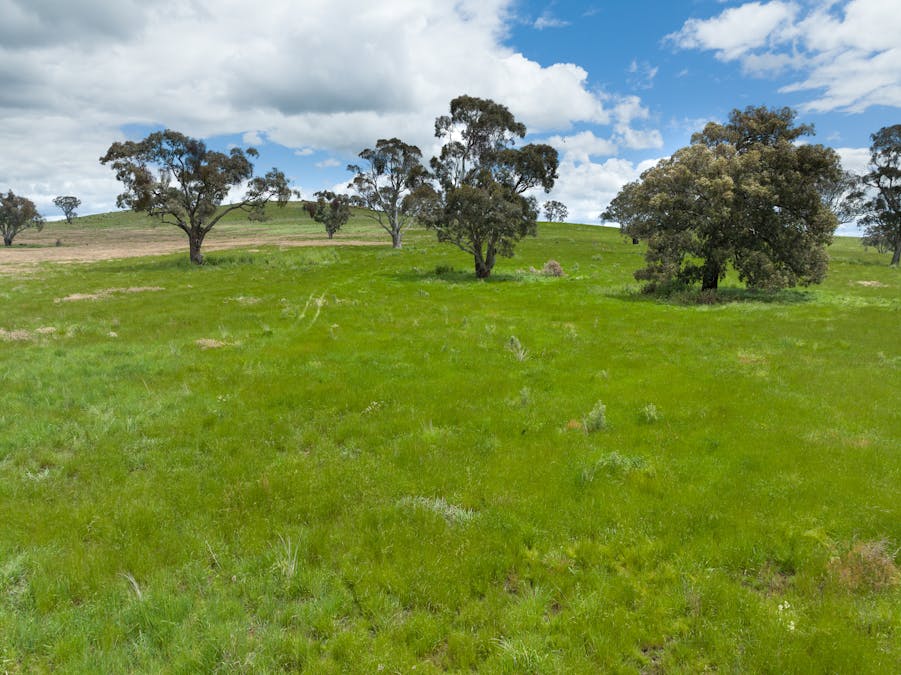 1366 Amaroo Road, Orange, NSW, 2800 - Image 11