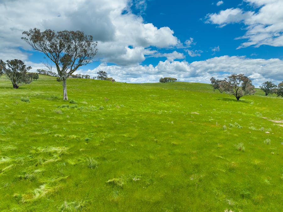 1366 Amaroo Road, Orange, NSW, 2800 - Image 13