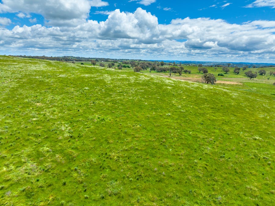 1366 Amaroo Road, Orange, NSW, 2800 - Image 16