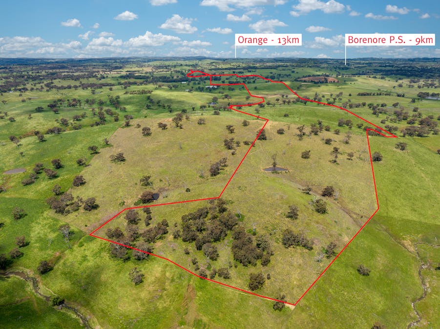 1366 Amaroo Road, Orange, NSW, 2800 - Image 5
