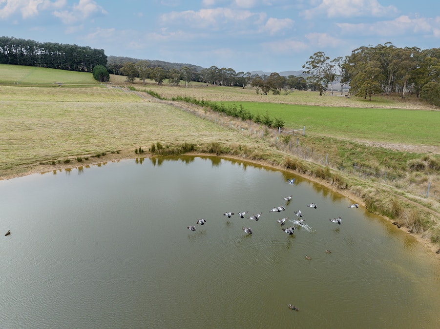 Lot 14 Part 175 Titania Road, Oberon, NSW, 2787 - Image 6