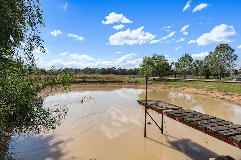 543 Darbys Falls Road, Cowra, NSW, 2794 Sold Elders Real Estate