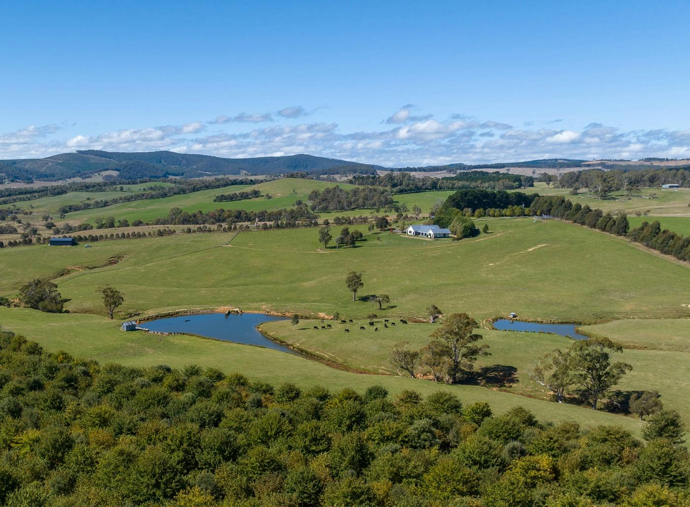 183 Burroughs Crossing Road, Oberon, NSW, 2787 Sold Elders Real Estate