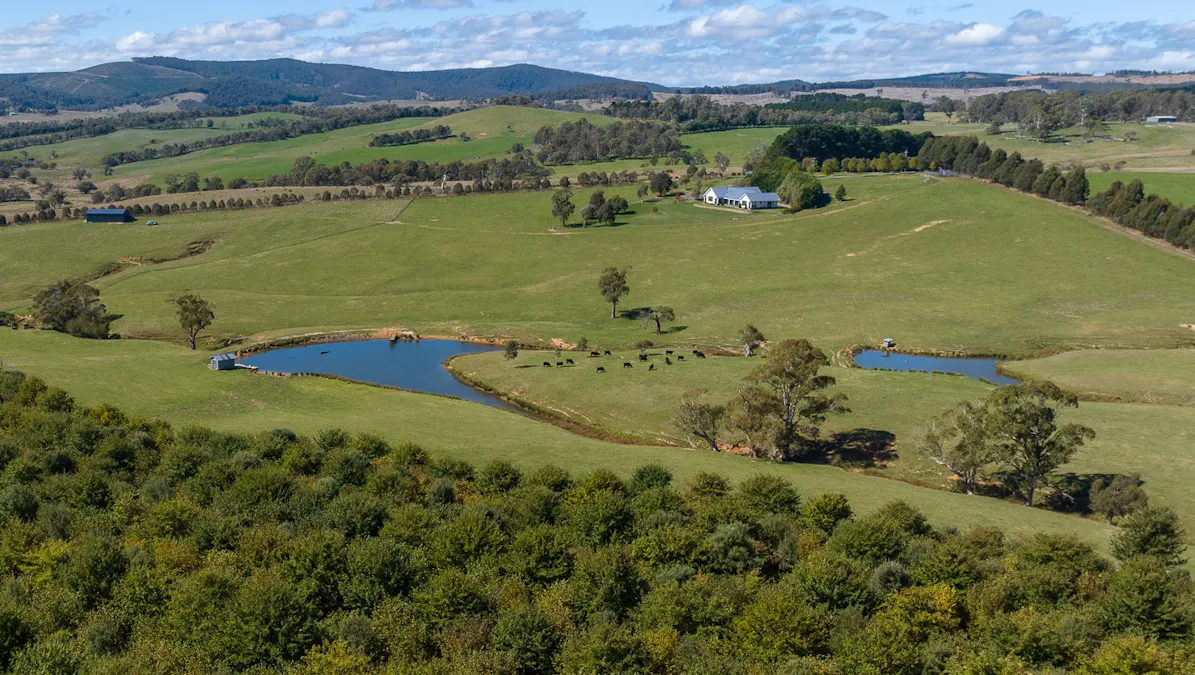 183 Burroughs Crossing Road, Oberon, NSW, 2787 Sold Elders Real Estate