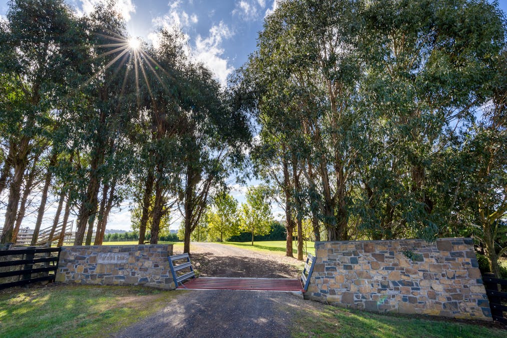 183 Burroughs Crossing Road, Oberon, NSW, 2787 Sold Elders Real Estate