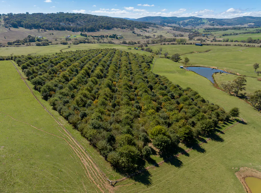 183 Burroughs Crossing Road, Oberon, NSW, 2787 Sold Elders Real Estate