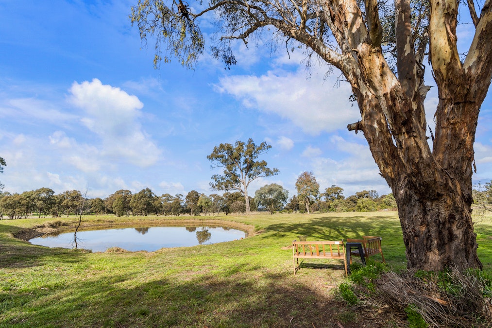 230 Conimbla Road, Cowra, NSW, 2794 - Image 23