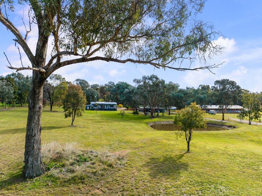 230 Conimbla Road, Cowra, NSW, 2794 - Image 1