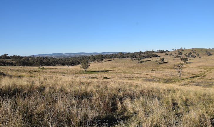 804 Old Yullundry Road, Yullundry, NSW, 2867 - Image 1