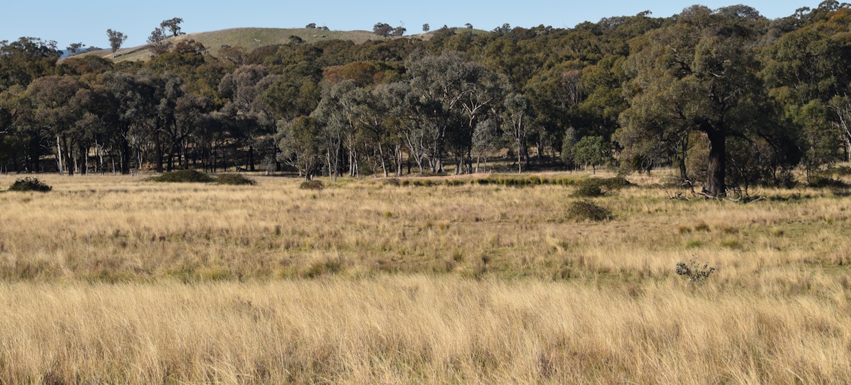 804 Old Yullundry Road, Yullundry, NSW, 2867 - Image 9