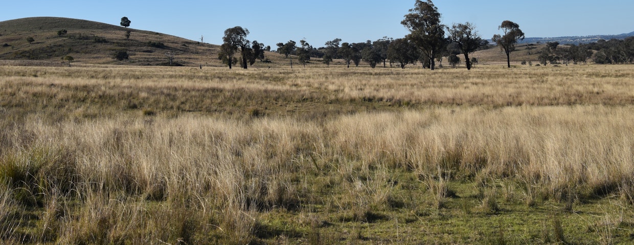 804 Old Yullundry Road, Yullundry, NSW, 2867 - Image 12