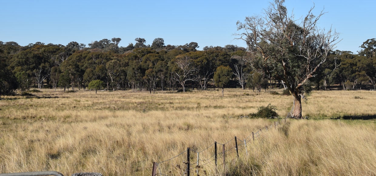 804 Old Yullundry Road, Yullundry, NSW, 2867 - Image 13