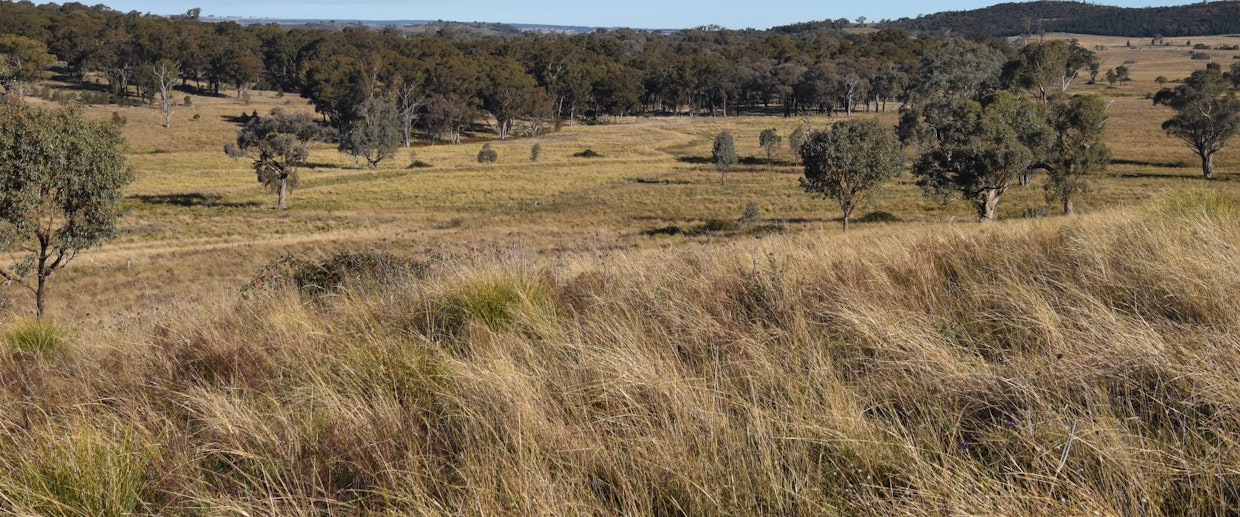 804 Old Yullundry Road, Yullundry, NSW, 2867 - Image 15