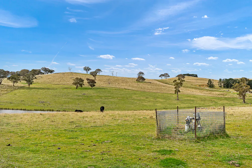 135 Bundaleer Road, Newbridge, NSW, 2795 - Image 8