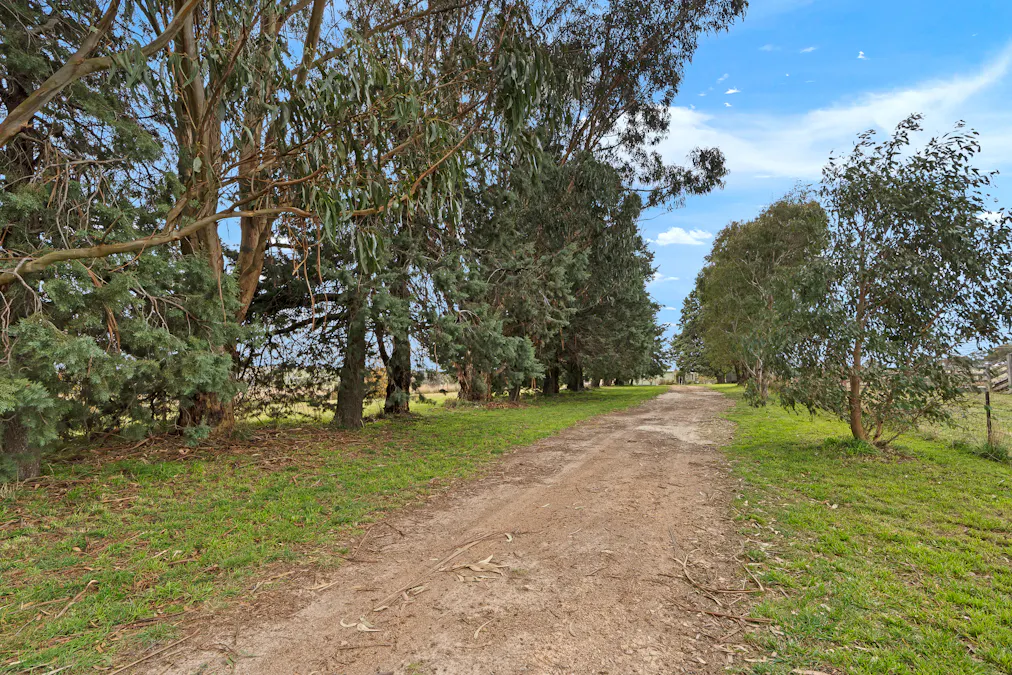 135 Bundaleer Road, Newbridge, NSW, 2795 - Image 14