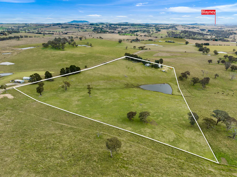 135 Bundaleer Road, Newbridge, NSW, 2795 - Image 30