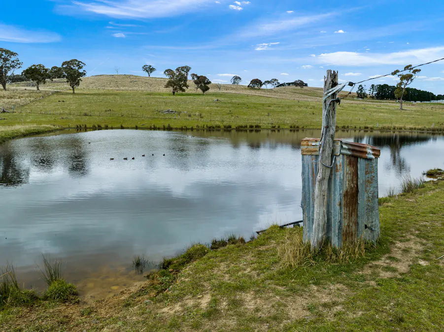 135 Bundaleer Road, Newbridge, NSW, 2795 - Image 9