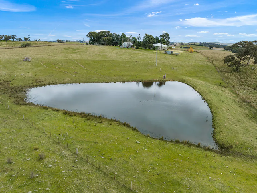 135 Bundaleer Road, Newbridge, NSW, 2795 - Image 1