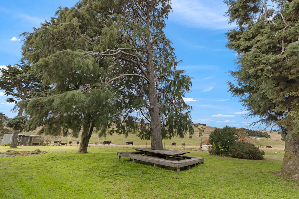 135 Bundaleer Road, Newbridge, NSW, 2795 - Image 26