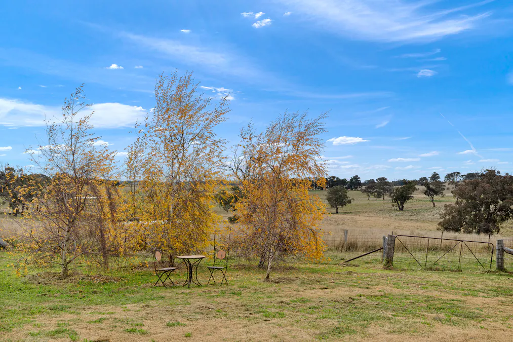 135 Bundaleer Road, Newbridge, NSW, 2795 - Image 29