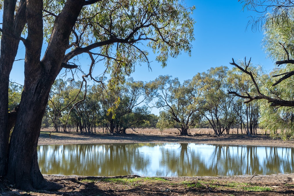 2029 Mitchell Highway, Nyngan, NSW, 2825 - Image 8