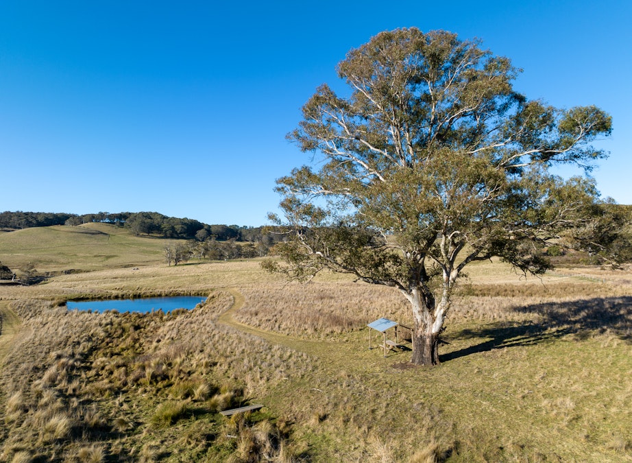 Lot 3 Norman Lee Road, Hampton, NSW, 2790 - Image 10