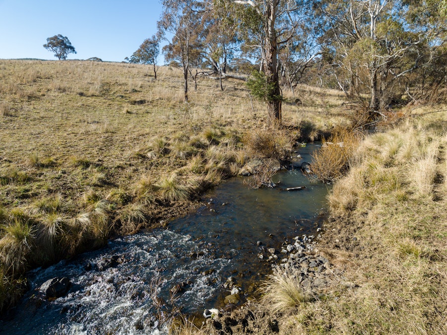 2003 Beaconsfield Road, Wisemans Creek, NSW, 2795 - Image 5