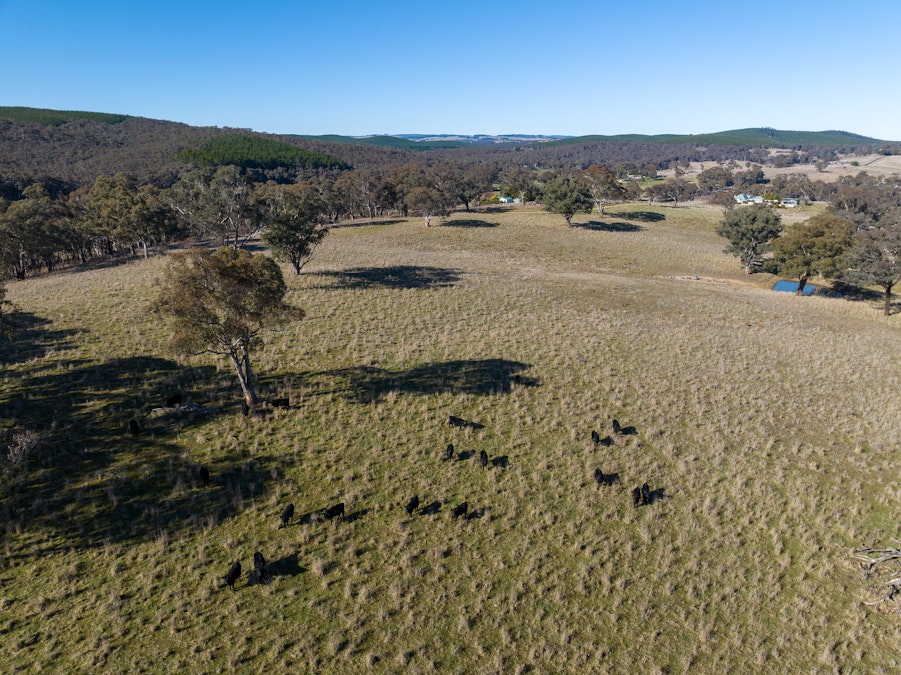 2003 Beaconsfield Road, Wisemans Creek, NSW, 2795 - Image 27