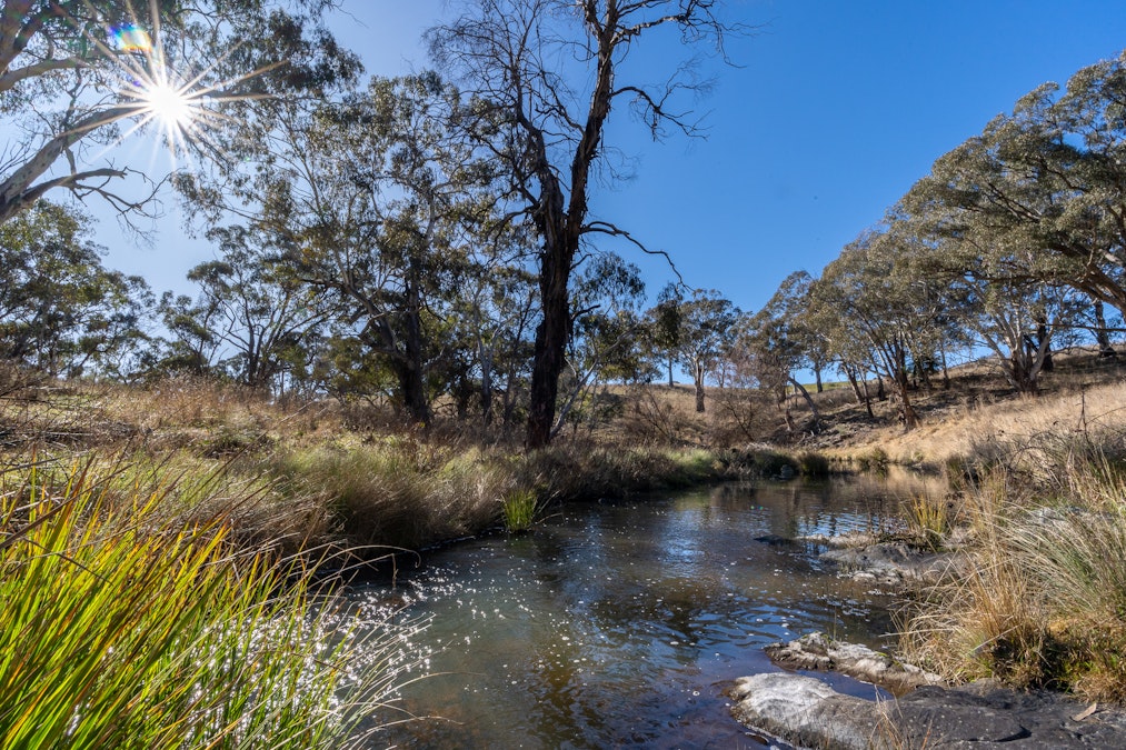 2003 Beaconsfield Road, Wisemans Creek, NSW, 2795 - Image 24