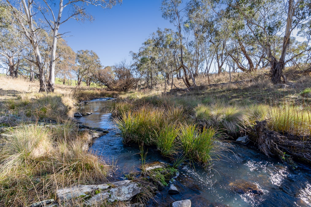 2003 Beaconsfield Road, Wisemans Creek, NSW, 2795 - Image 23