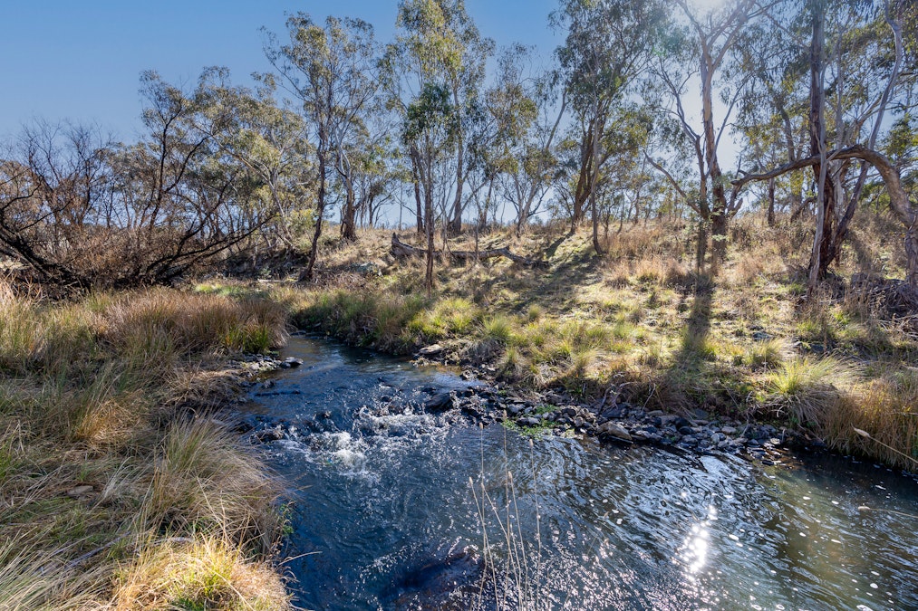 2003 Beaconsfield Road, Wisemans Creek, NSW, 2795 - Image 25