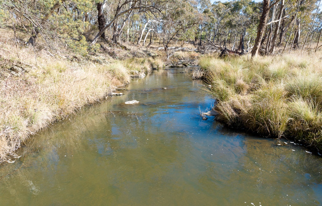 2003 Beaconsfield Road, Wisemans Creek, NSW, 2795 - Image 26