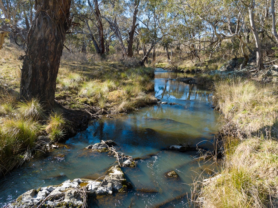 2003 Beaconsfield Road, Wisemans Creek, NSW, 2795 - Image 6