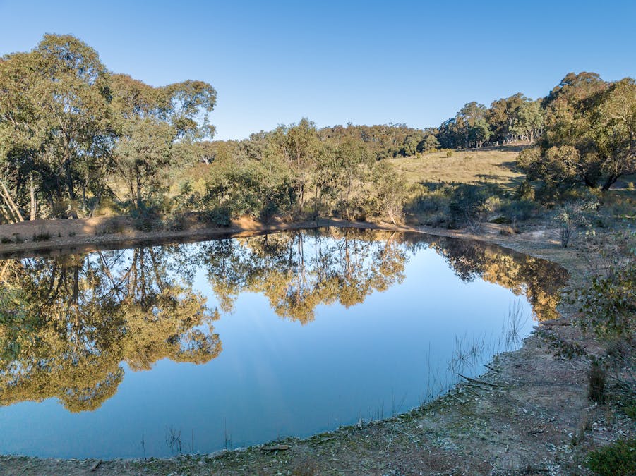 1464 Bald Ridge Road, Abercrombie River, NSW, 2795 Sold Elders Real Estate