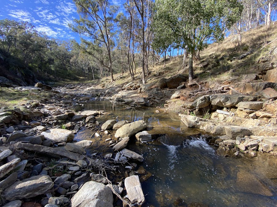 1464 Bald Ridge Road, Abercrombie River, NSW, 2795 Sold Elders Real