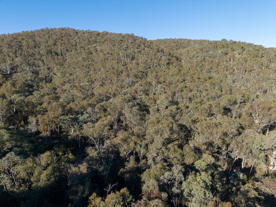 1464 Bald Ridge Road, Abercrombie River, NSW, 2795 Sold Elders Real