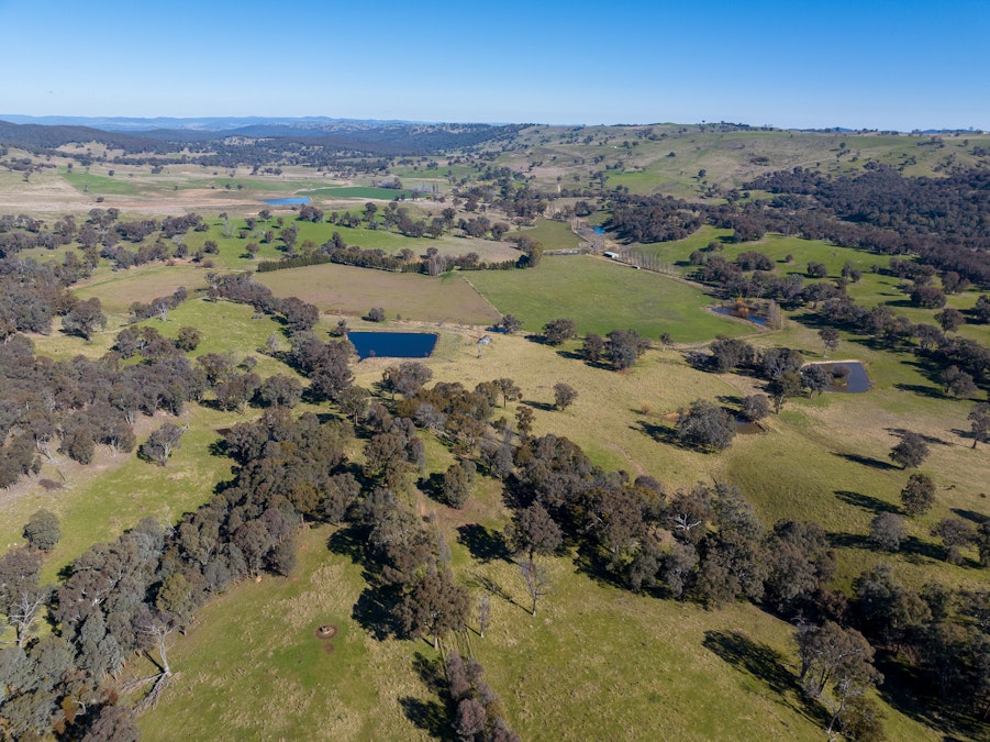 635 Grove Creek Road, Triangle Flat, NSW, 2795 - Image 23