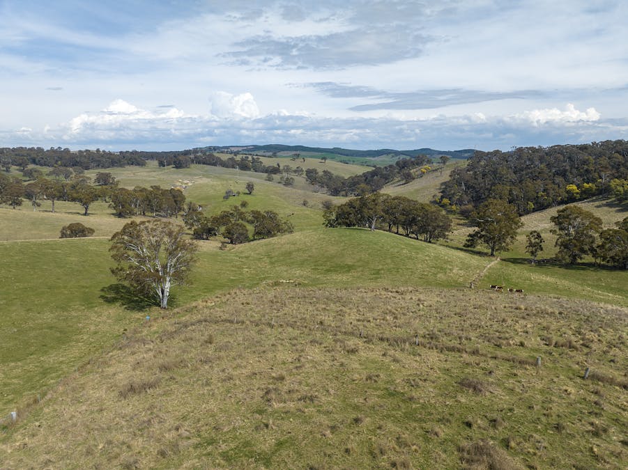 1021 O'Connell Road, Oberon, NSW, 2787 - Image 6