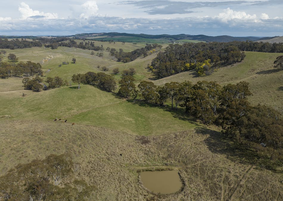 1021 O'Connell Road, Oberon, NSW, 2787 - Image 5